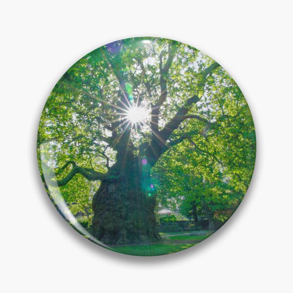 Item preview, Canterbury Westgate Gardens Tree designed and sold by Alisonchambers2.