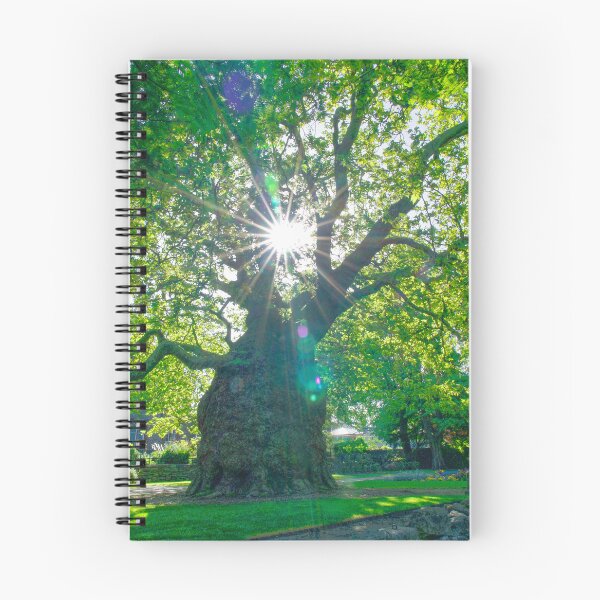 Item preview, Canterbury Westgate Gardens Tree designed and sold by Alisonchambers2.