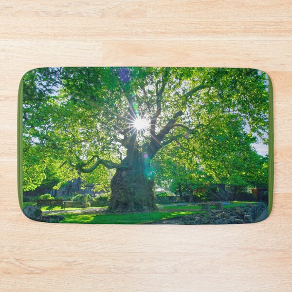 Item preview, Canterbury Westgate Gardens Tree designed and sold by Alisonchambers2.
