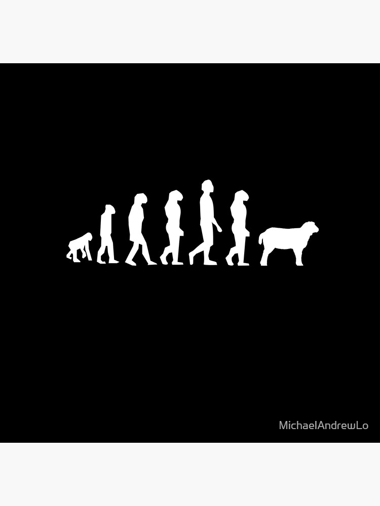 Evolution Of Man Monkey Sheep Funny Political Gift Shirt | Tote Bag
