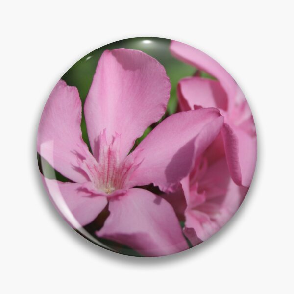Item preview, Pink Oleander Blossom designed and sold by taiche.