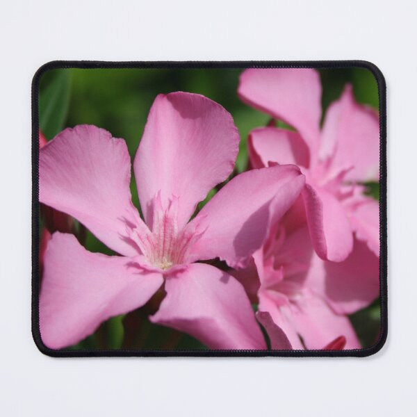 Item preview, Pink Oleander Blossom designed and sold by taiche.