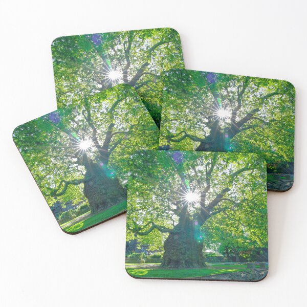 Item preview, Canterbury Westgate Gardens Tree designed and sold by Alisonchambers2.