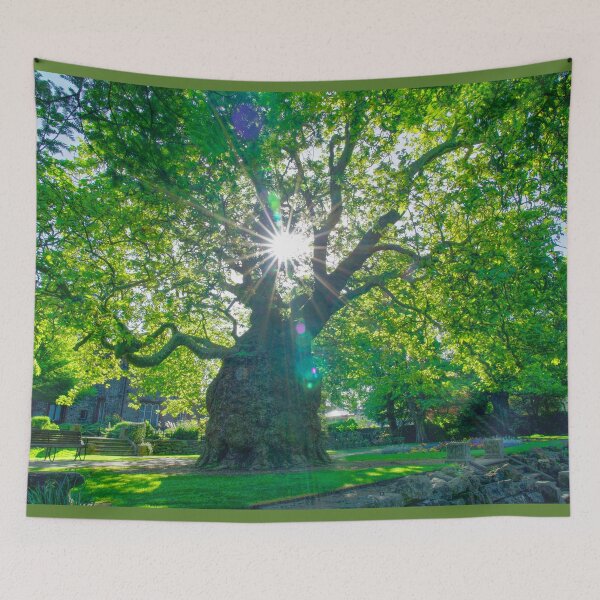 Item preview, Canterbury Westgate Gardens Tree designed and sold by Alisonchambers2.