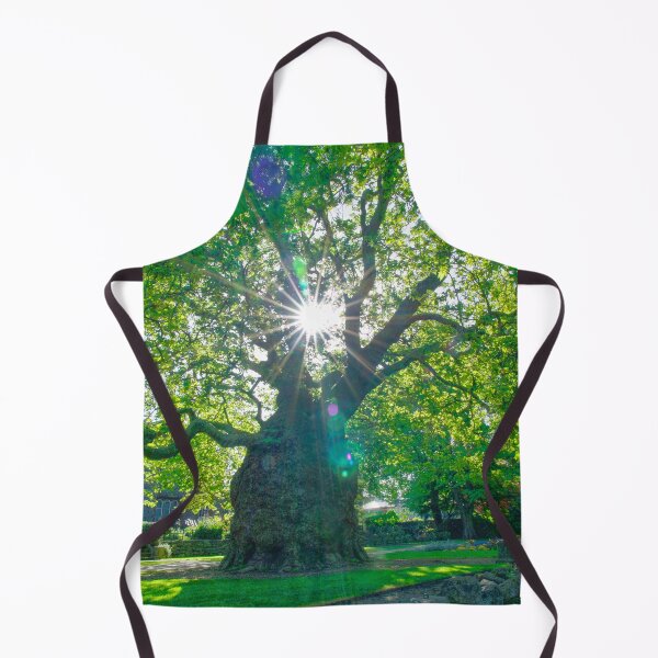 Item preview, Canterbury Westgate Gardens Tree designed and sold by Alisonchambers2.