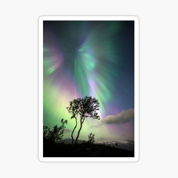 Item preview, Aurora borealis, Norway (C023/2380) designed and sold by SciencePhoto.