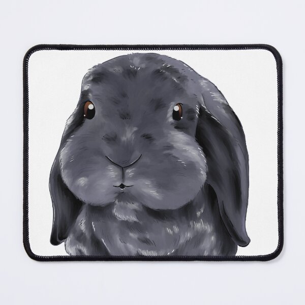 Item preview, Blue Holland Lop Rabbit | Bunniesmee T-Shirt designed and sold by bunniesmee.