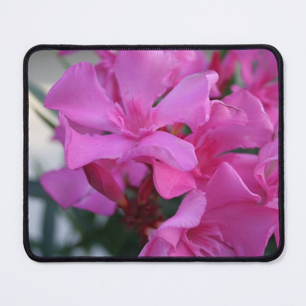 Item preview, Pink Oleander Meditteranean Summer Blossom designed and sold by taiche.