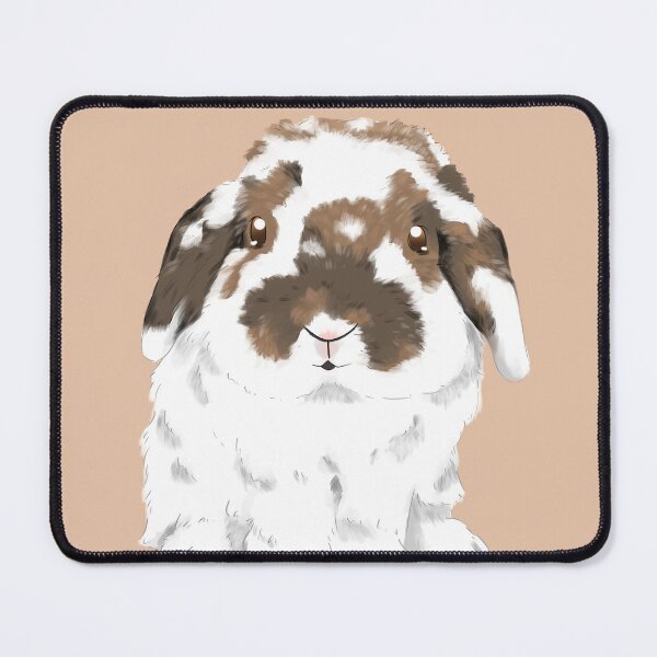 Item preview, Broken White Holland Lop Rabbit | BulBul Bunny | Bunniesmee T-Shirt designed and sold by bunniesmee.