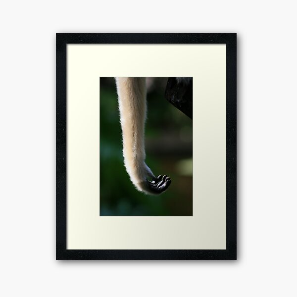 At Arms Length Framed Art Print