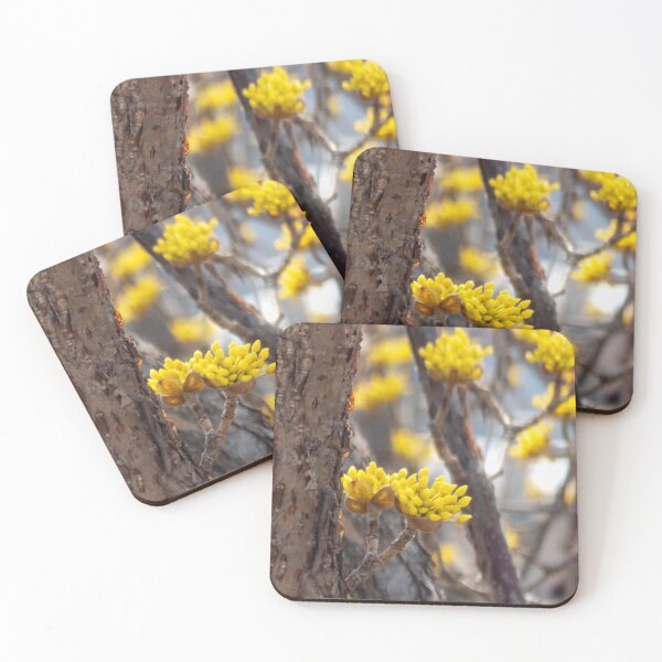 Item preview, Cornus officinalis 1 designed and sold by yunee.