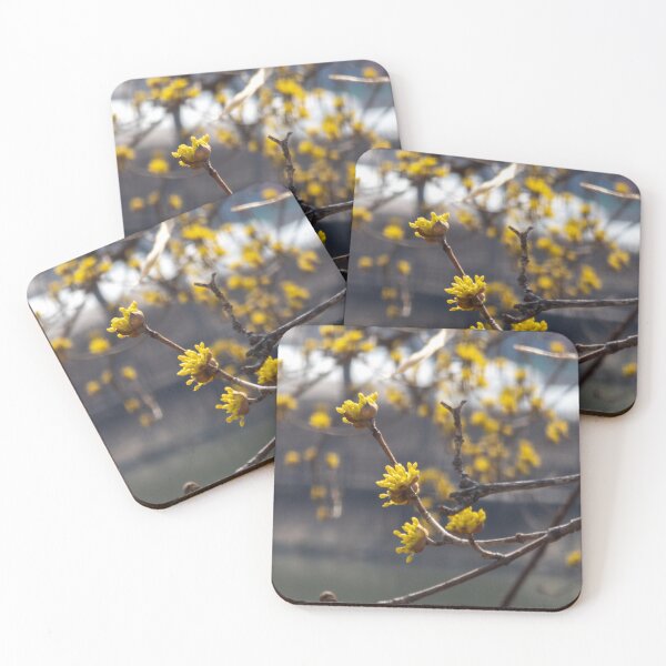 Item preview, Cornus officinalis 2 designed and sold by yunee.