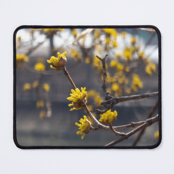 Item preview, Cornus officinalis 2 designed and sold by yunee.