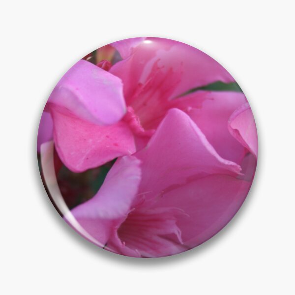 Item preview, A Closeup Shot of Pink Flowers on an Oleander Shrub designed and sold by taiche.