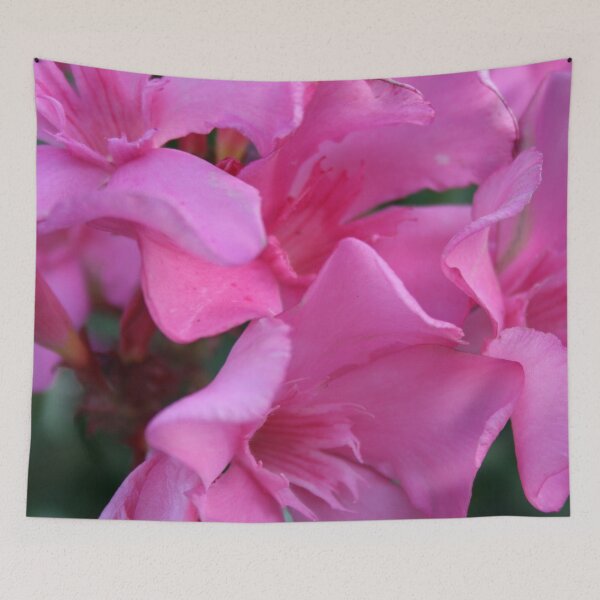 Item preview, A Closeup Shot of Pink Flowers on an Oleander Shrub designed and sold by taiche.