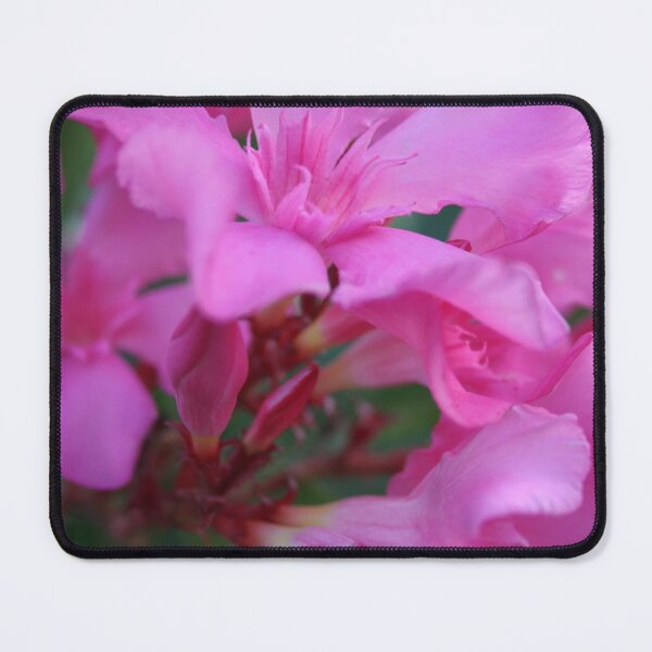 Item preview, Pink Oleander Flower designed and sold by taiche.