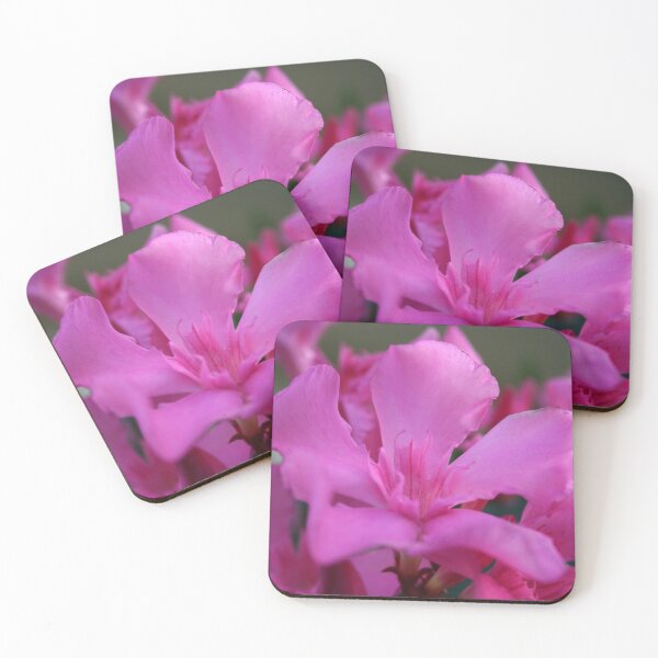 Item preview, Pink Oleander Flower With Green Leaves in the Background designed and sold by taiche.