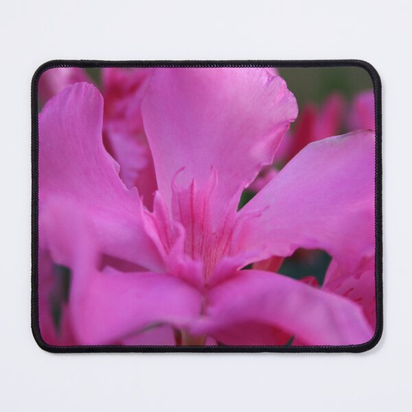 Item preview, Pink Oleander Flower With Green Leaves in the Background designed and sold by taiche.