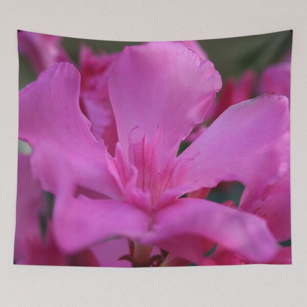 Item preview, Pink Oleander Flower With Green Leaves in the Background designed and sold by taiche.