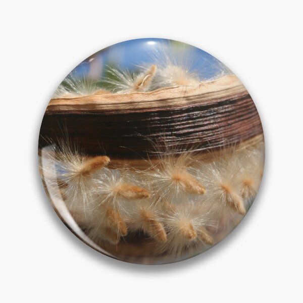Item preview, Common Oleander Seed Pods Latin name - Nerium oleander designed and sold by taiche.