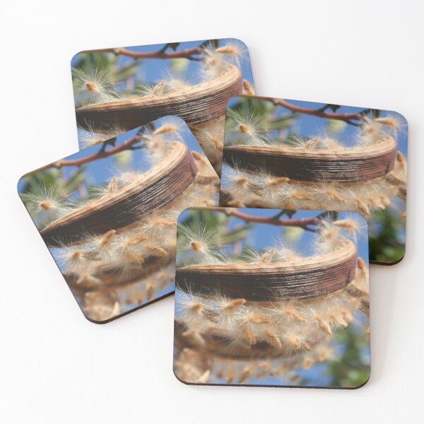 Item preview, Common Oleander Seed Pods Latin name - Nerium oleander designed and sold by taiche.