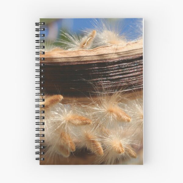Item preview, Common Oleander Seed Pods Latin name - Nerium oleander designed and sold by taiche.