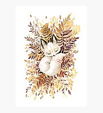 Slumber Photographic Print