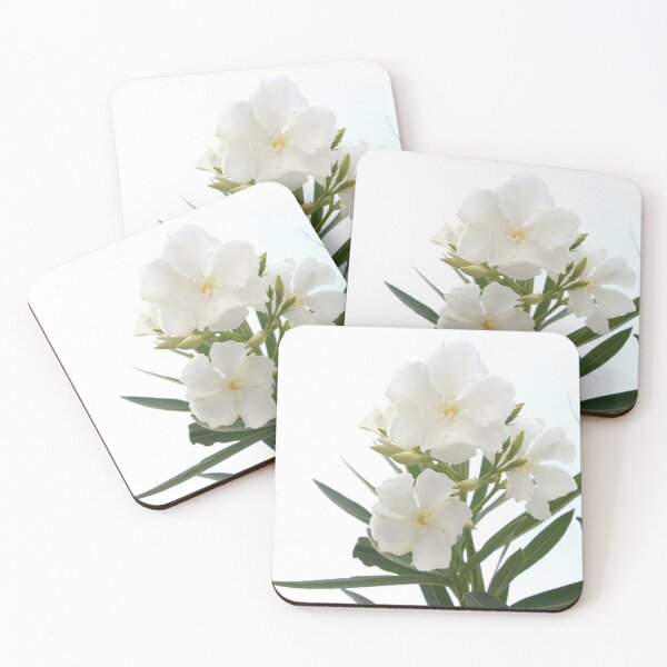 Item preview, White Oleander Flowers Close Up Isolated On White Background  designed and sold by taiche.