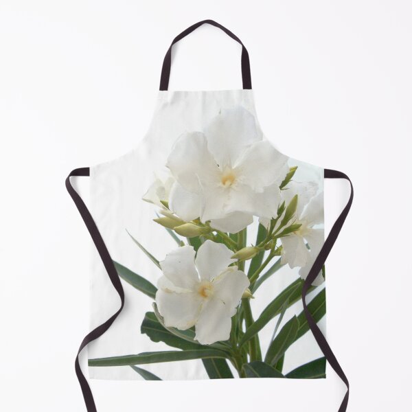 Item preview, White Oleander Flowers Close Up Isolated On White Background designed and sold by taiche.