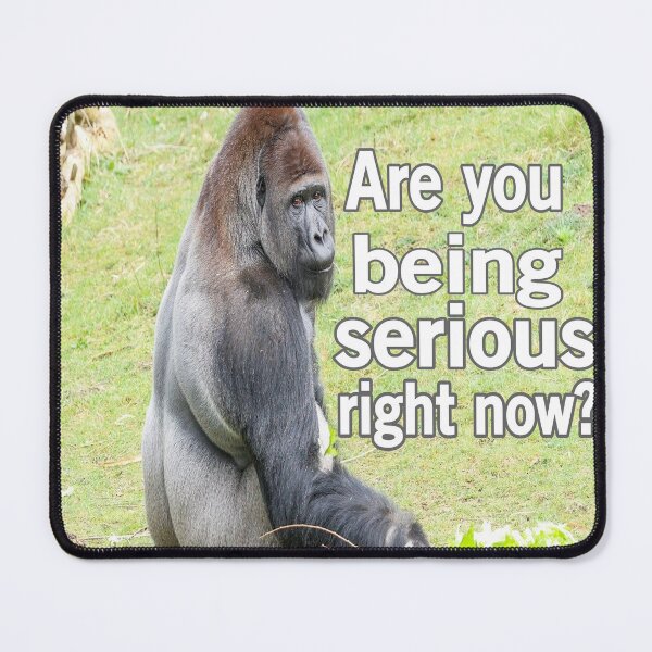 Item preview, Are You Being Serious Right Now? designed and sold by Surreallytee.