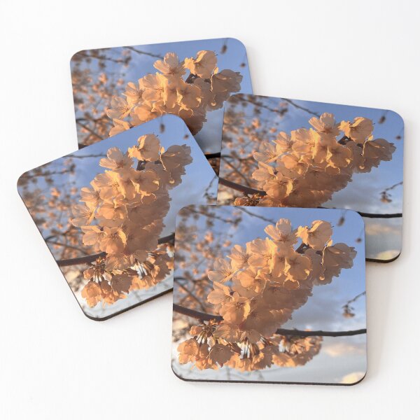 Item preview, Cherry Blossom Sunrise designed and sold by ascherf.