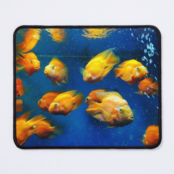 Item preview, Parrotfish designed and sold by Marixs.