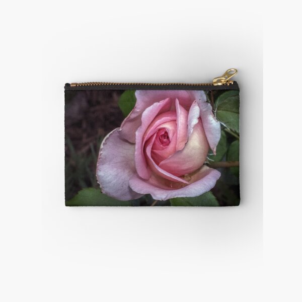 Item preview, Pale rose Leith Park Victoria 20171221 1938 designed and sold by Fred Mitchell.