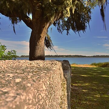 Artwork thumbnail, Fort Prince Frederick Along The River by LisaWootenPhoto
