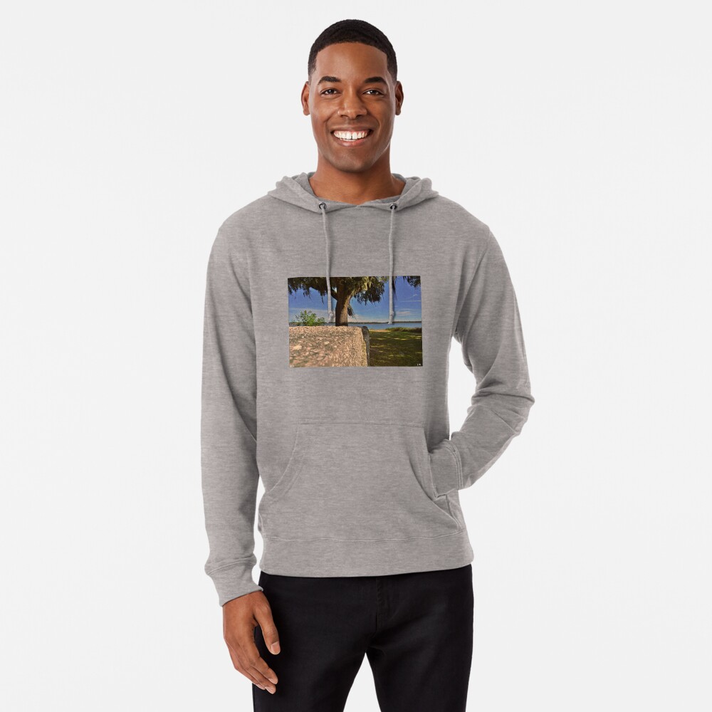Item preview, Lightweight Hoodie designed and sold by LisaWootenPhoto.