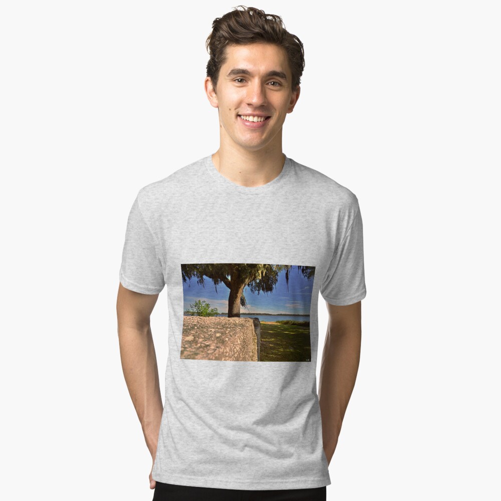 Item preview, Tri-blend T-Shirt designed and sold by LisaWootenPhoto.
