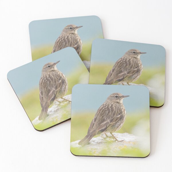 Item preview, Rock Pipit designed and sold by LaurenTucker.