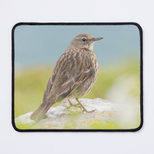 Item preview, Rock Pipit designed and sold by LaurenTucker.