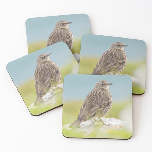 Item preview, Rock Pipit designed and sold by LaurenTucker.