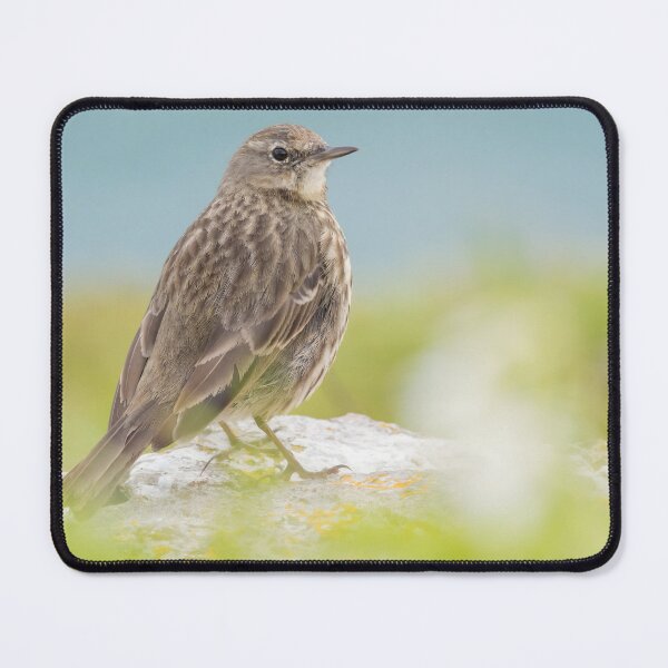 Item preview, Rock Pipit designed and sold by LaurenTucker.