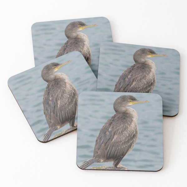 Item preview, European Shag designed and sold by LaurenTucker.