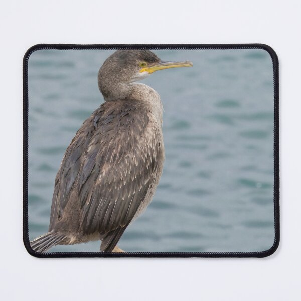Item preview, European Shag designed and sold by LaurenTucker.