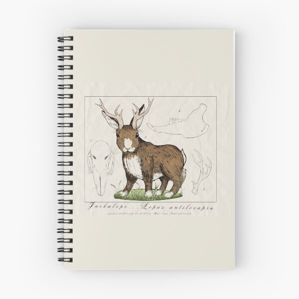 Item preview, Jackalope Scientific Illustration designed and sold by Chaosauce.
