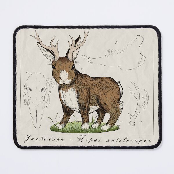 Item preview, Jackalope Scientific Illustration designed and sold by Chaosauce.