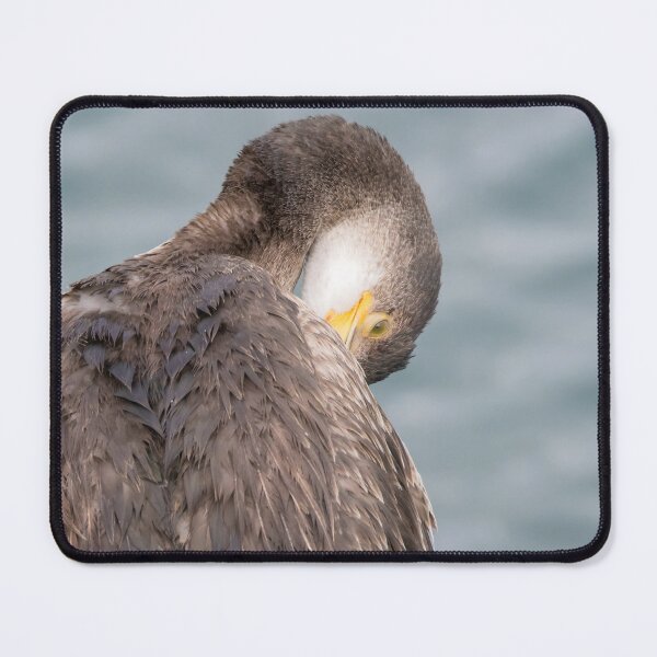 Item preview, European Shag designed and sold by LaurenTucker.