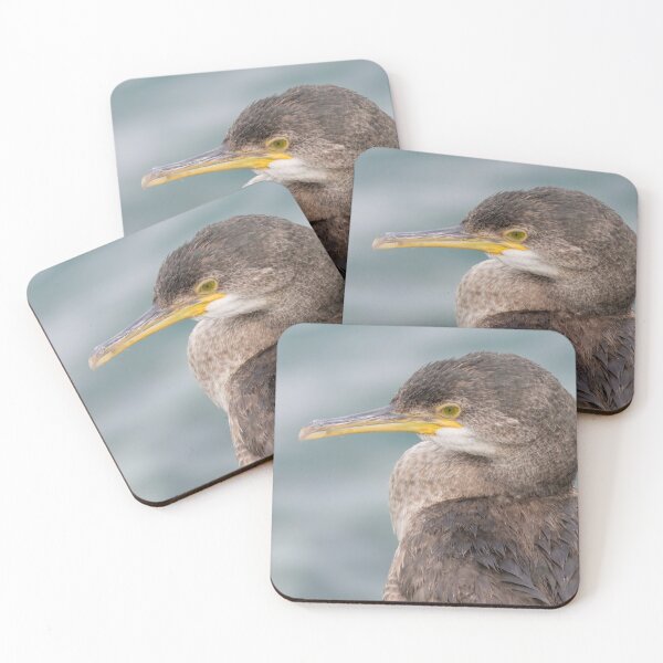 Item preview, European Shag designed and sold by LaurenTucker.
