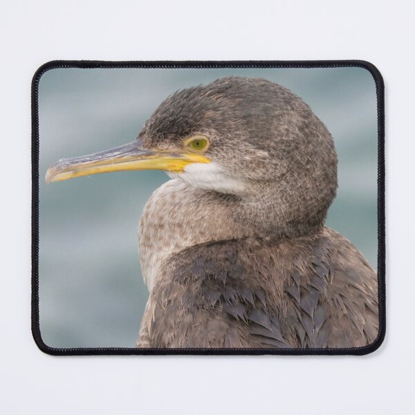 Item preview, European Shag designed and sold by LaurenTucker.