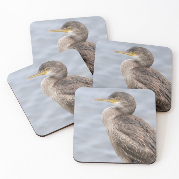 Item preview, European Shag designed and sold by LaurenTucker.