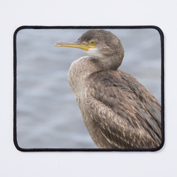 Item preview, European Shag designed and sold by LaurenTucker.