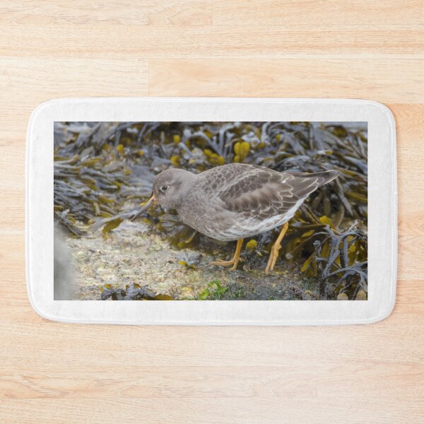 Item preview, Purple Sandpiper Calidris maritima designed and sold by LaurenTucker.